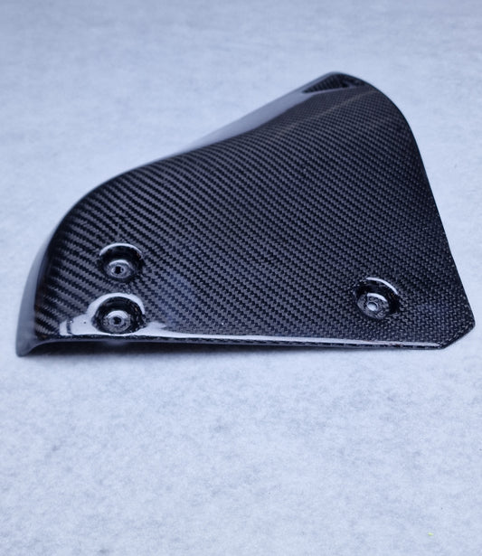 Carbon Fiber Rear Strut Covers