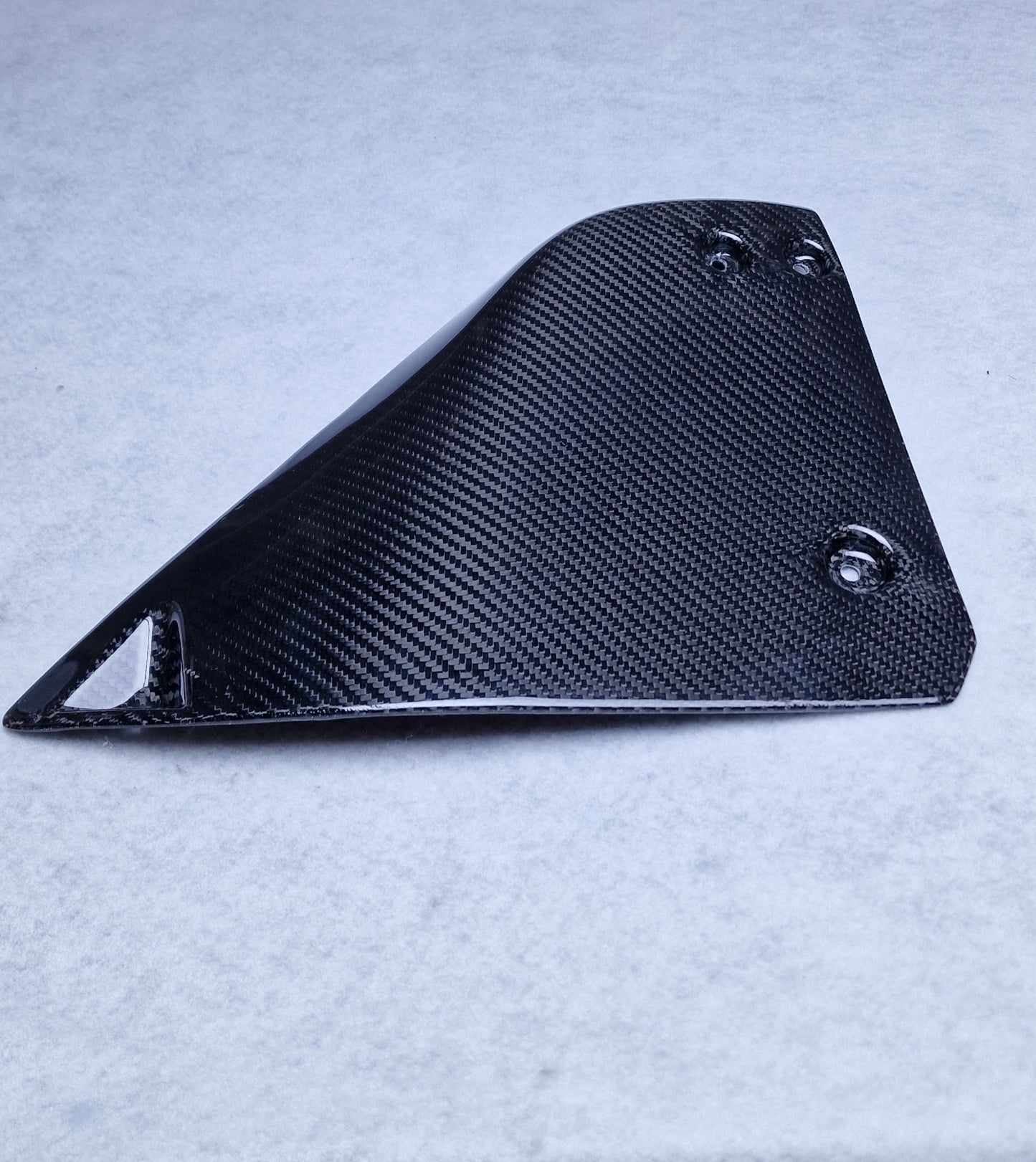 Carbon Fiber Rear Strut Covers