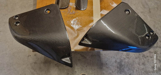 Carbon Fiber Rear Strut Covers